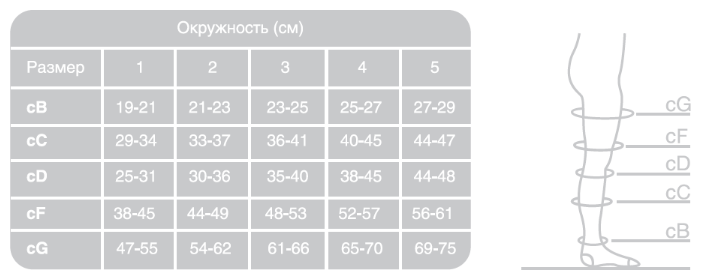 Ergoforma Чулки антиэмболические 2 класс компрессии, р. 5, арт. 227 (25 mm Hg), с отверстием под пальцами, белые, пара, 1 шт.