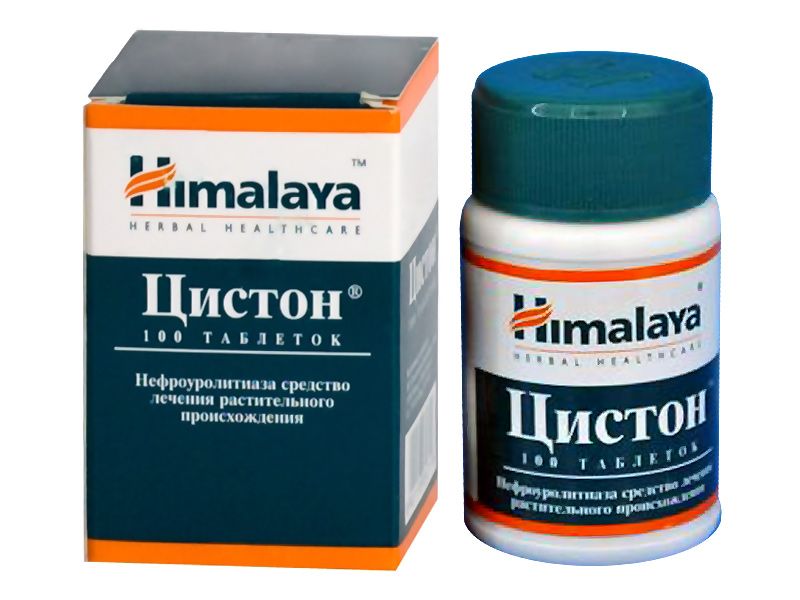 Цистон, таблетки, 100 шт. купить по цене от 540 руб в Волгограде, заказать с доставкой в аптеку, инструкция по применению, отзывы, аналоги, Himalaya Drug Co.
